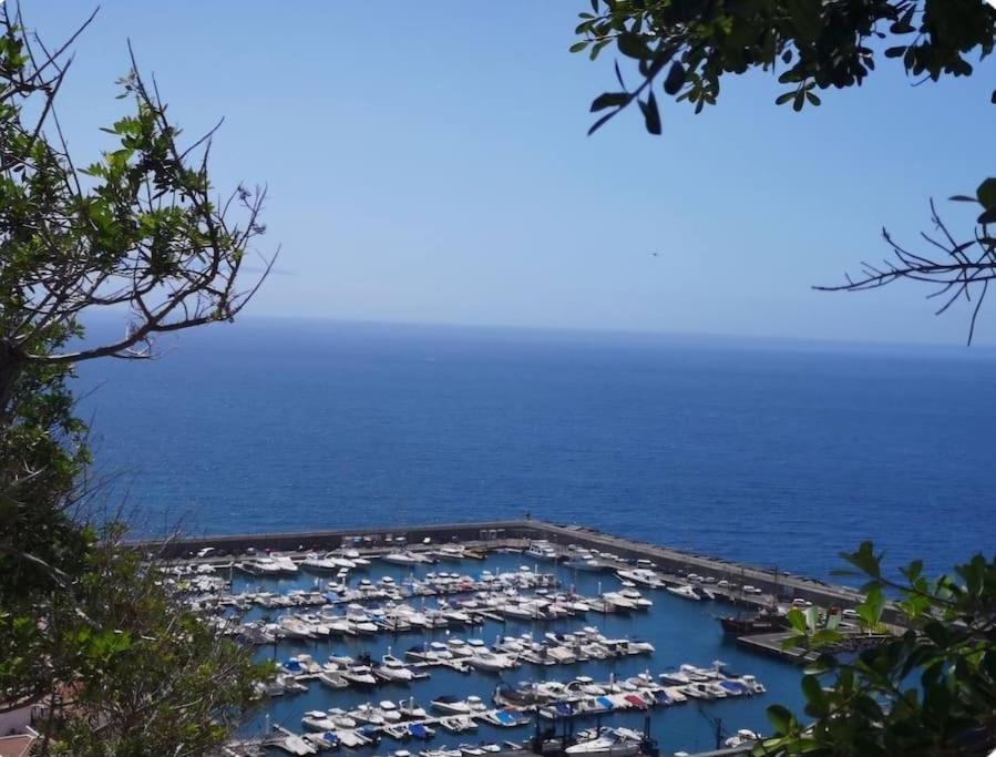 Perfect Getaway In Los Gigantes, Shared Pool-Wifi Acantilado de los Gigantes المظهر الخارجي الصورة